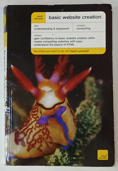 BASIC WEBSITE CREATION by PETER COPE , 2008
