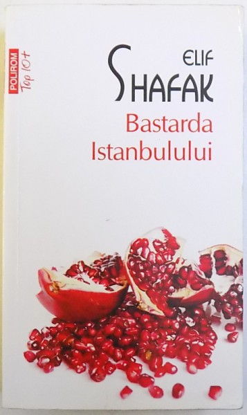 BASTARDA ISTANBULULUI de ELIF SHAFAK , 2013