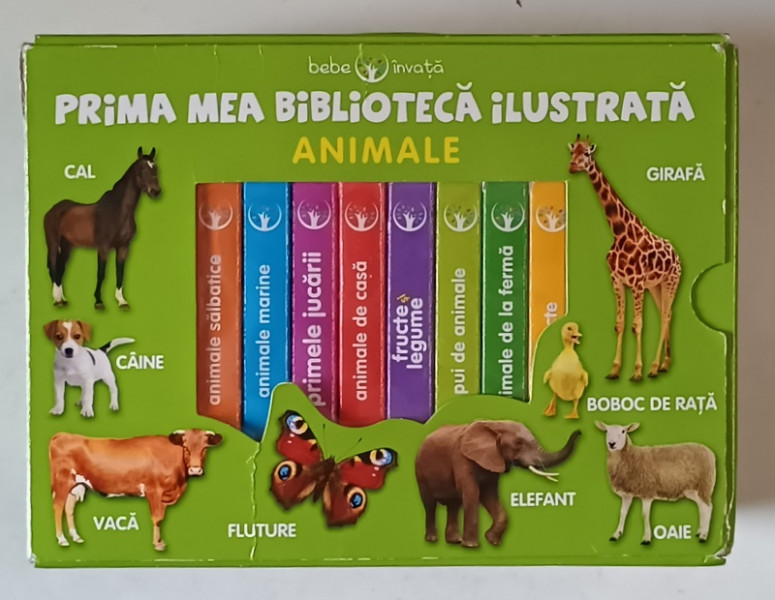 BEBE INVATA , PRIMA MEA BIBLIOTECA ILUSTRATA , ANIMALE , SET DE 8 CARTICELE DE FORMAT REDUS , 2020
