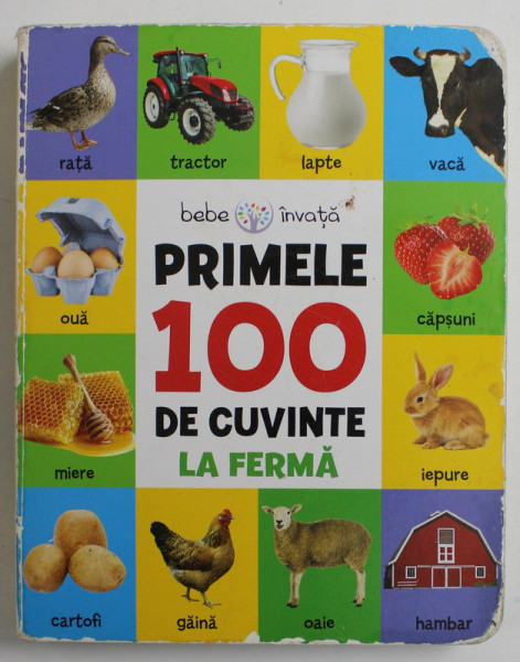 BEBE INVATA PRIMELE 100 DE CUVINTE LA FERMA , 2019