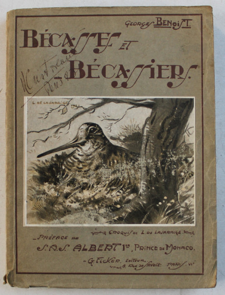 BECASSES ET BECASSIERS  - ANATOMIE  - ORNITHOLOGIE  - MIGRATION  - CHASSE par GEORGES BENOIST , 1919