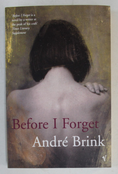 BEFORE I FORGET by ANDRE BRINK , 2005