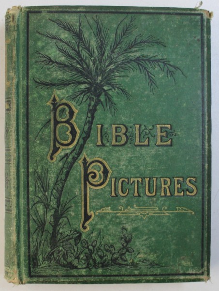 BIBLE PICTURES, LIFE - SKETCHES of LIFE - TRUTHS by GEORGE B . IDE , illustrated , 1875
