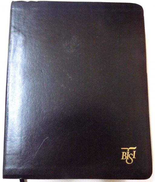 BIBLIIA INTERNATIONALA DE STUDIU INDUCTIV , 1993