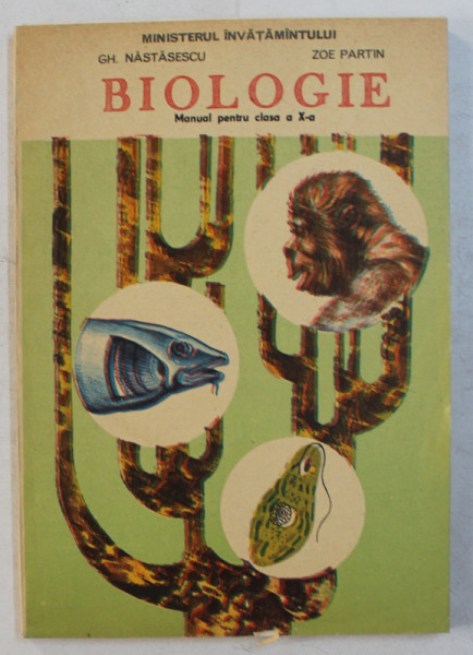 BIOLOGIE - MANUAL PENTRU CLASA a - X - a de GH. NASTASESCU , ZOE PARTIN , 1995