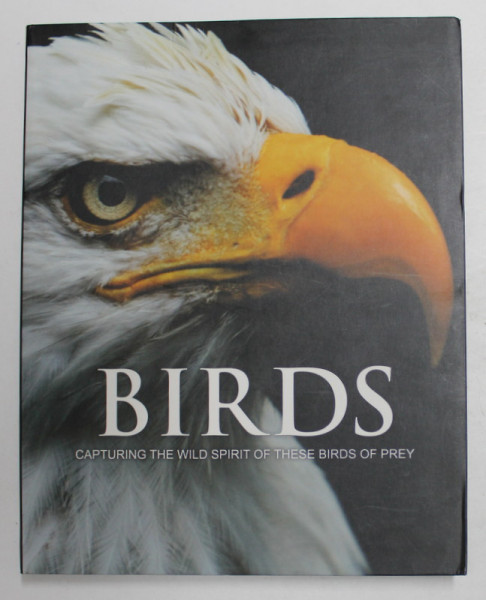 BIRDS by PAUL D. FROST , 2011