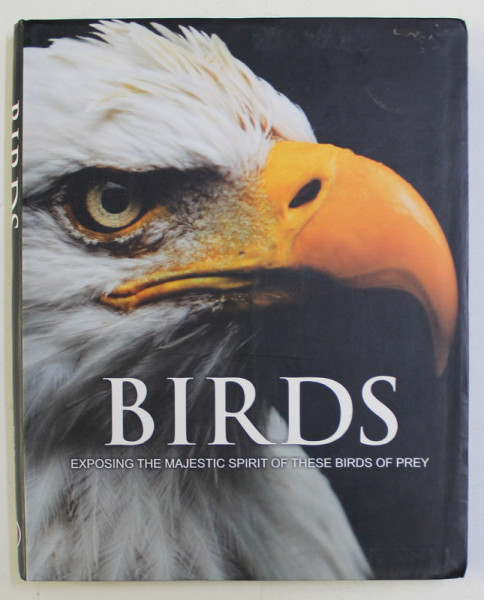 BIRDS , EXPOSING THE MAJESTIC SPIRIT OF THESE BIRDS OF PREY by PAUL D. FROST , 2011