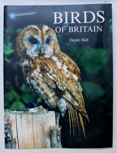 BIRDS OF BRITAIN by DEREK HALL , 2008