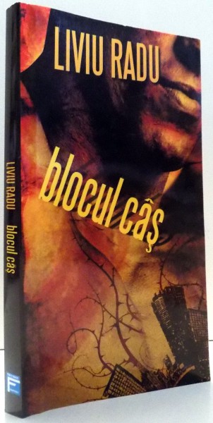 BLOCUL CAS de LIVIU RADU , 2008