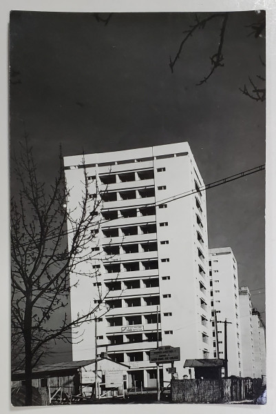 BLOCURI  LANGA PARCUL FLOREASCA , FOTOGRAFIE , ANII ' 50