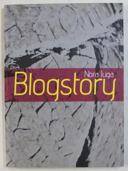 BLOGSTORY de NORA IUGA , 2011
