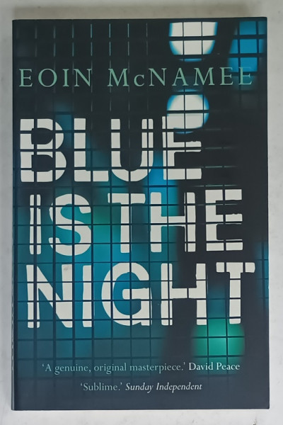 BLUE IS THE NIGHT by EION McNAMEE , 2015