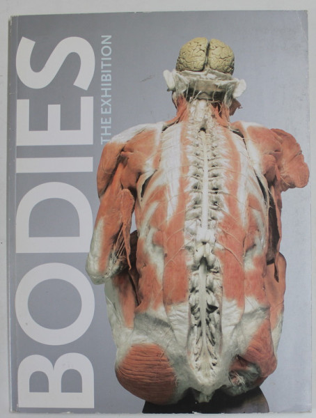 BODIES , THE EXHIBITION , ANII '2000