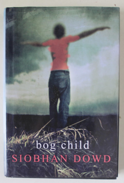 BOG CHILD by SIOBHAN DOWD , 2008