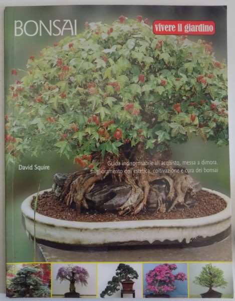 BONSAI di DAVID SQUIRE , 2004