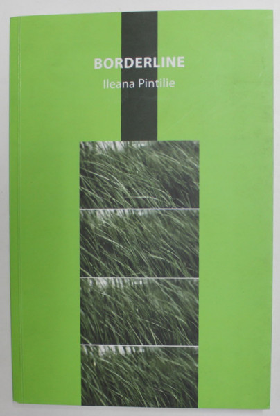 BORDERLINE  - IN SEARCH OF A NEW MODEL de ILEANA PINTILIE , 2009