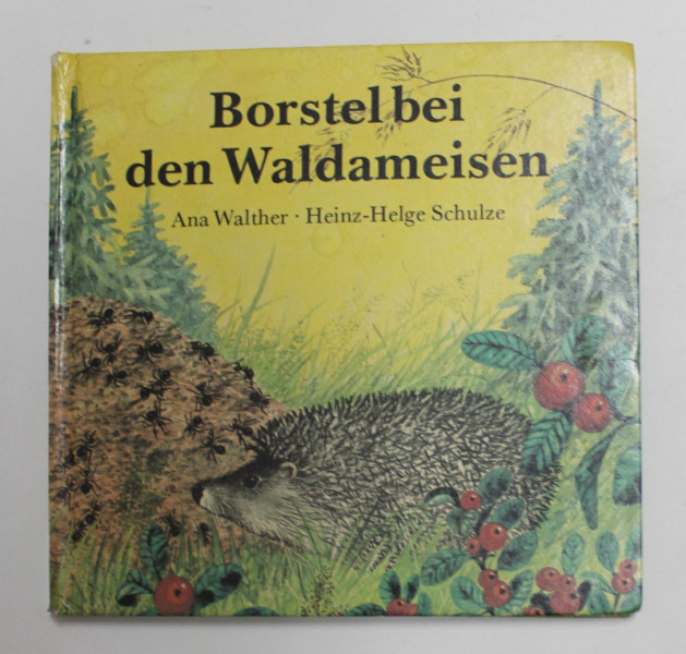 BORSTEL BEI DEN WALDAMESIEN von ANA WALTHER und HEINZ - HELGE SCHULZE , 1989