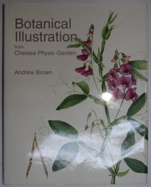 BOTANICAL ILLUSTRATION FROM CHELSEA PHYSIC GARDEN by ANDREW BROWN , 2015