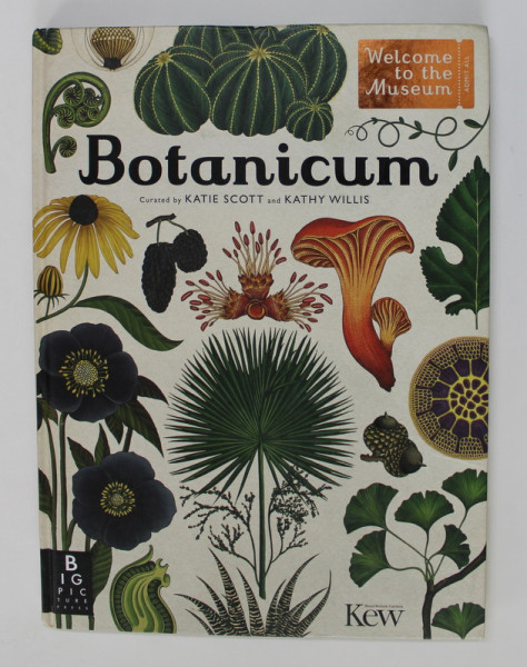 BOTANICUM , illustrated by KATIE SCOTT , written by KATHY WILLIS , 2016