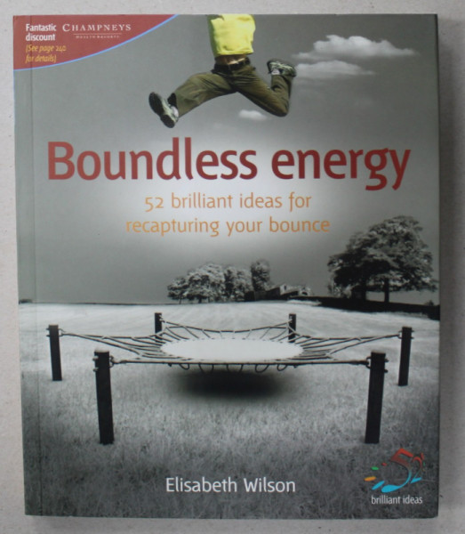 BOUNDLESS ENERGY , 52 BRILLIANT IDEAS FOR RECAPTURING YOUR BOUNCE by ELISABETH WILSON , 2007