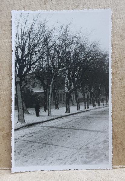 BRAILA , BULEVARDUL A.I. CUZA , IARNA , FOTOGRAFIE TIP CARTE POSTALA , MONOCROMA, NECIRCULATA , DATATA 6 IAN. 1934