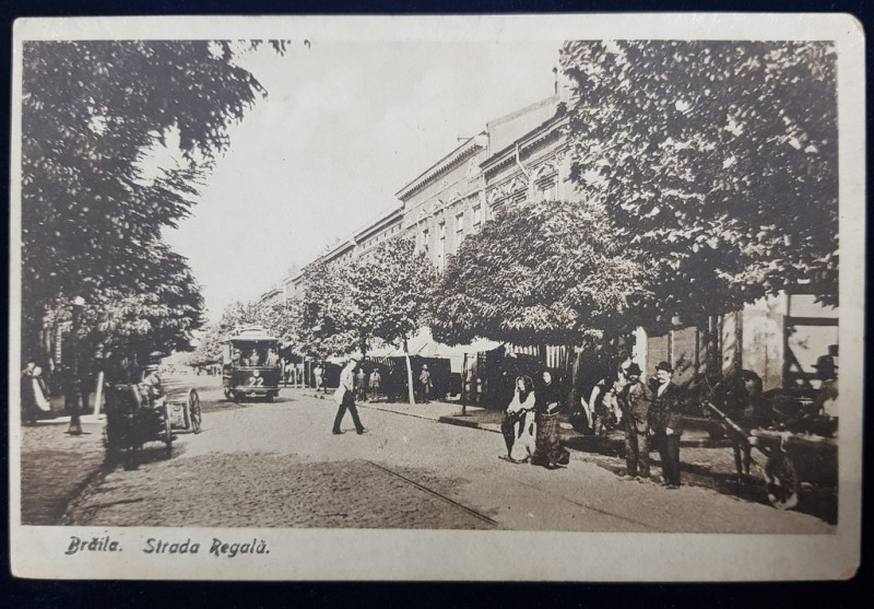 Braila. Strada Regala - CP Ilustrata
