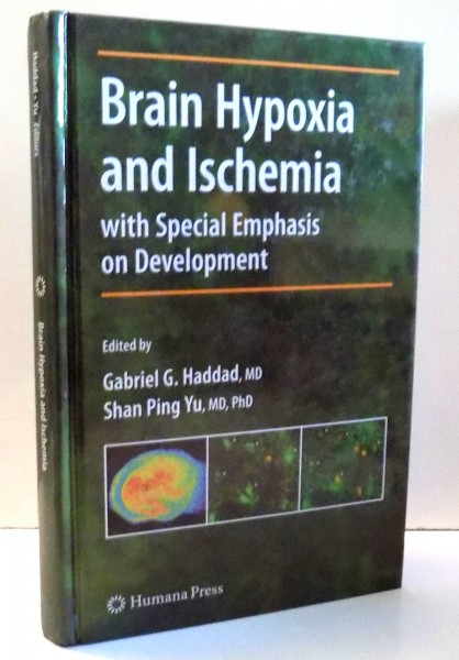 BRAIN HYPOXIA AND ISCHEMIA WITH SPECIAL EMPHASIS ON DEVELOPMENT de GABRIEL G. HADDAD , 2009