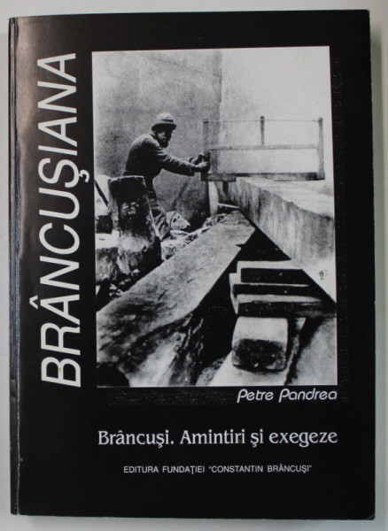 BRANCUSI. AMINTIRI SI EXEGEZE de PETRE PANDREA , 2000