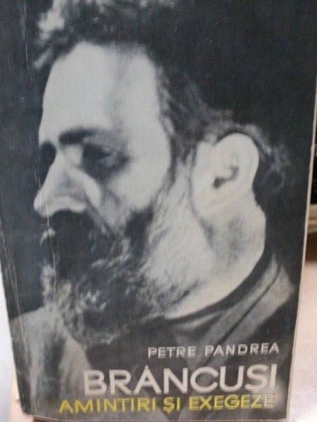 BRANCUSI, AMINTIRI SI EXEGEZE de PETRE PANDREA , 1967