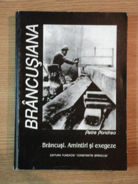 BRANCUSIANA de PETRE PANDREA