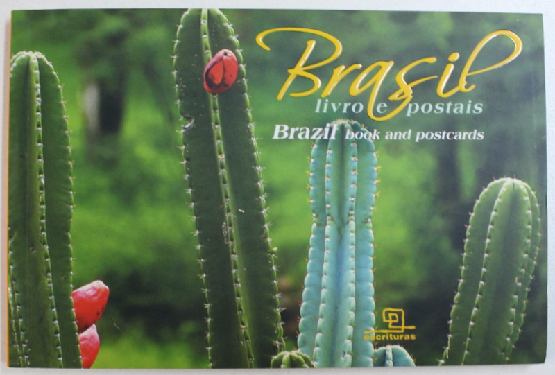 BRASIL - LIVRO E POSTAIS - BRAZIL BOOK AND POSTCARDS , editor RAIMUNDO GADELHA , 2005