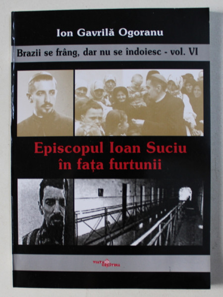 BRAZII SE FRANG , DAR NU SE INDOIESC - VOLUMUL VI : EPISCOPUL IOAN SUCIU IN FATA FURTUNII de ION GAVRILA OGORANU , 2006
