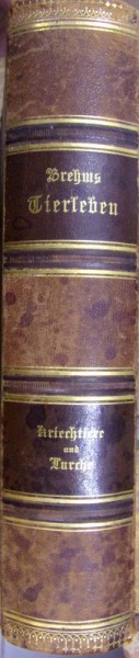 BREHMS - VIATA ANIMALELOR SERPI SI REPTILE Leipzig, Viena, 1892