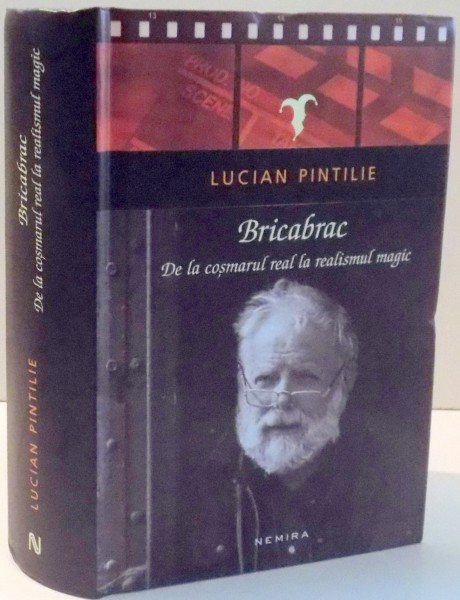 BRICABRAC , DE LA COSMARUL REAL LA REALISMUL MAGIC de LUCIAN PINTILIE , 2017