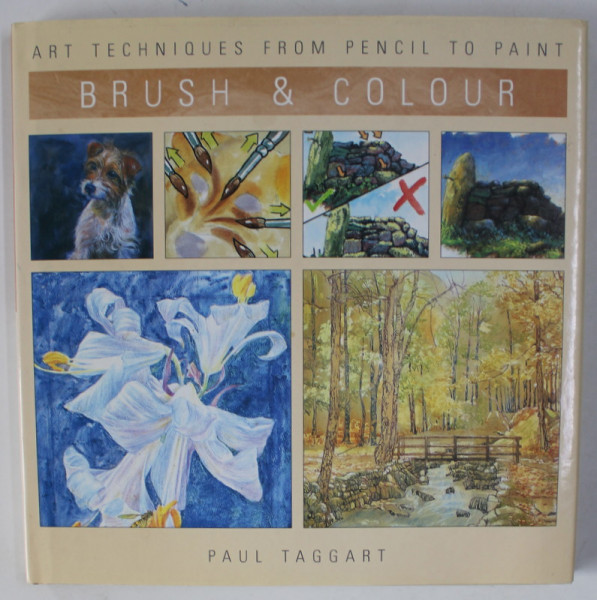 BRUSH and COLOUR , ART TECHNIQUES FROM PENCIL TO PAINT by PAUL TAGGART , 2005