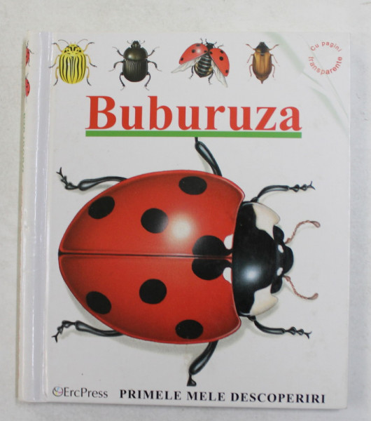 BUBURUZA , ilustrata de SYLVAINE PEYROLS , realizata de GALLIMARD JEUNESSE si PASCALE DE BOURGOING , 2008