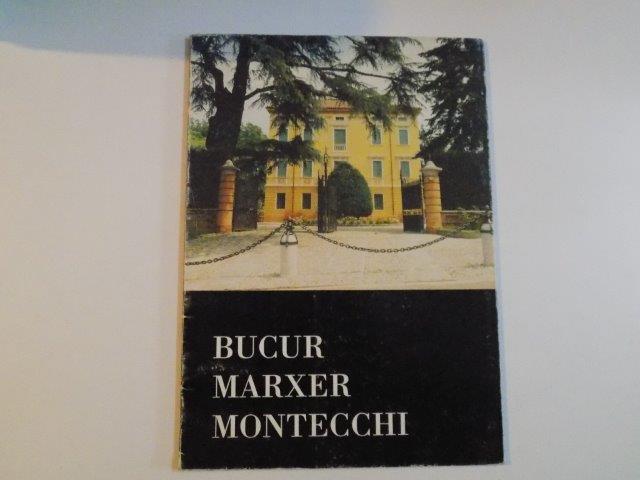 BUCUR MARXER MONTECCHI , VILLA "LA PALAZZINA" SCANDIANO 1/25 SETTEMBRE , 1994
