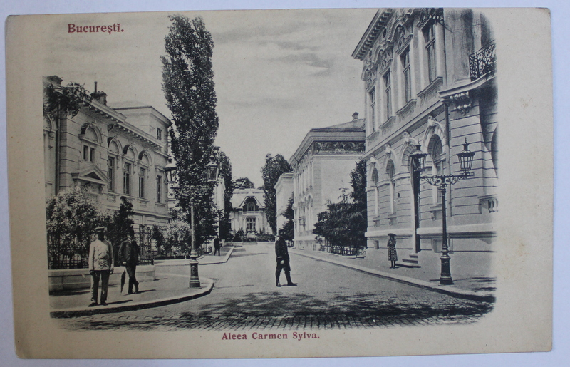 BUCURESTI  - ALEEA CARMEN SYLVA , CARTE POSTALA ILUSTRATA , MONOCROMA, NECIRCULATA , INCEPUT DE SECOL XX