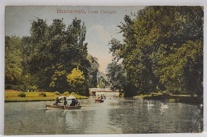 BUCURESTI , BARCI PE LACUL CISMIGIU , CARTE POSTALA , INCEPUTUL SEC.XX
