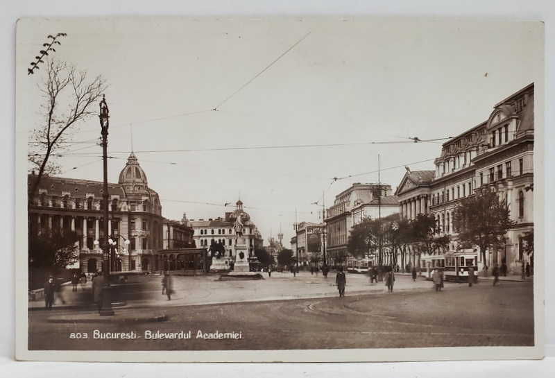 BUCURESTI , BULEVARDUL ACADEMIEI , VEDERE SPRE STATUI , CARTE POSTALA , INTERBELICA