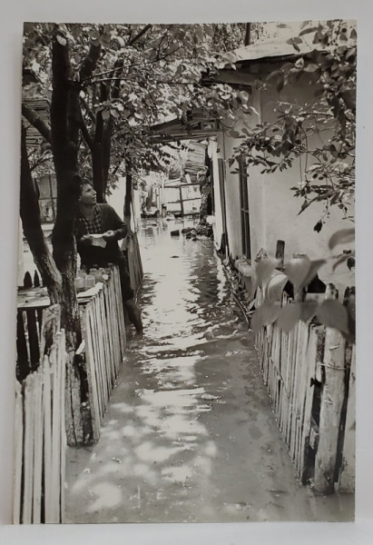 BUCURESTI , COLENTINA , ZONA TOBOC , GOSPODARIE INUNDATA , FOTOGRAFIE , 1975