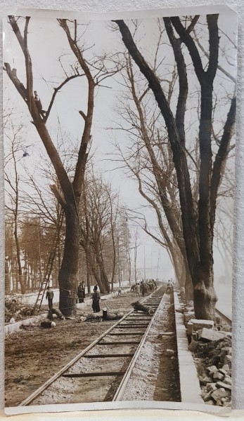 Bucuresti. Dealul Cotrocenilor - Fotografie originala
