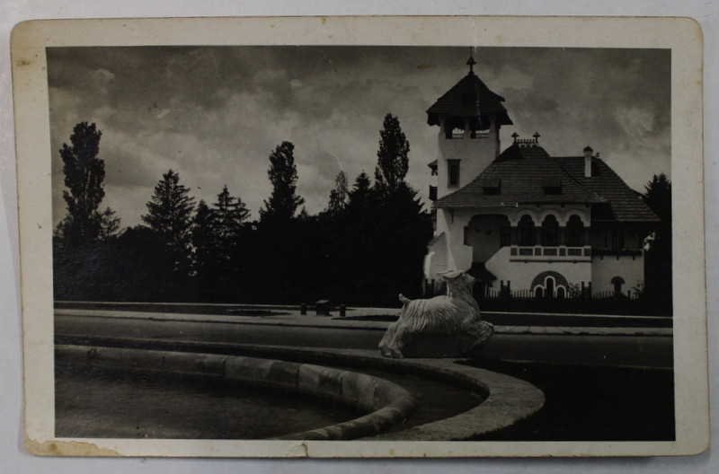 BUCURESTI , FANTANA MIORITA SI VILA MINOVICI , FOTOGRAFIE TIP CARTE POSTALA , INTERBELICA