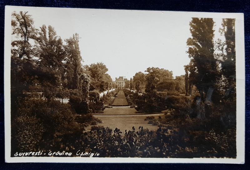 BUCURESTI - GRADINA CISMIGIU , CARTE POSTALA ILUSTRATA , MONOCROMA, NECIRCULATA , PERIOADA INTERBELICA