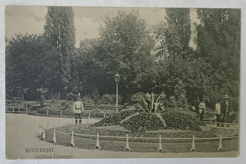 BUCURESTI , GRADINA ' CISMIGIU ' , ORNAMENT FLORAL INTRE ALEI , CARTE POSTALA , INCEPUTUL SEC. XX