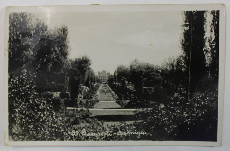 BUCURESTI , PARCUL CISMIGIU , VEDERE SPRE CLADIREA ARHIVELOR , CARTE POSTALA , 1937