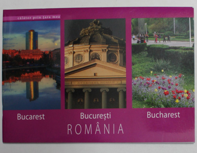 BUCURESTI - ROMANIA , MINIALBUM de FLORIN ANDREESCU  , TEXT IN ROMANA , FRANCEZA , ENGLEZA , 2010