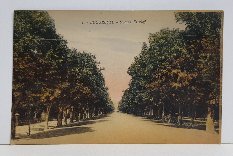 BUCURESTI - SOSEAUA KISELEFF , CARTE POSTALA ILUSTRATA , POLICROMA , NECIRCULATA , PERIOADA INTERBELICA