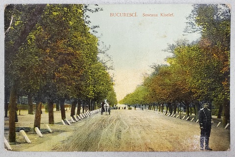 BUCURESTI , SOSEAUA KISELEFF , CARTE POSTALA , INCEPUTUL SEC. XX
