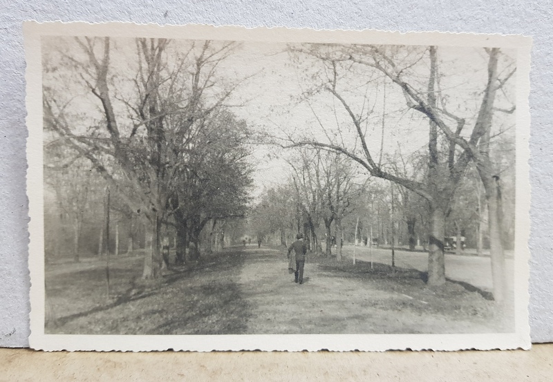 BUCURESTI , SOSEAUA KISELEFF , FOTOGRAFIE TIP CARTE POSTALA , MONOCROMA, NECIRCULATA , DATATA NOIEMBRIE 1933